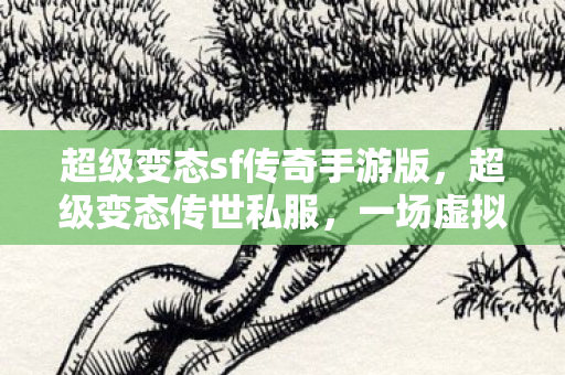 超级变态sf传奇手游版，超级变态传世私服，一场虚拟世界的狂欢