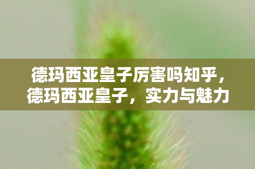 德玛西亚皇子厉害吗知乎，德玛西亚皇子，实力与魅力的双重展现