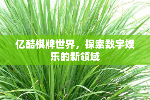 亿酷棋牌世界，探索数字娱乐的新领域