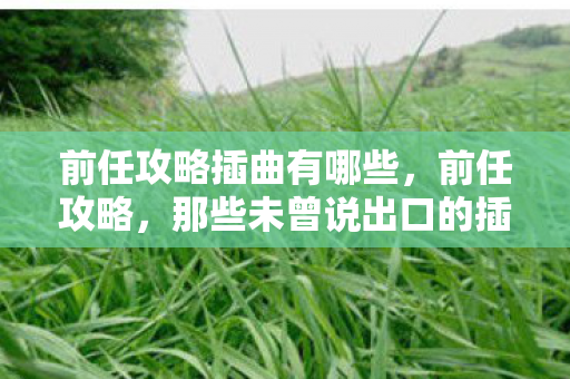 前任攻略插曲有哪些，前任攻略，那些未曾说出口的插曲