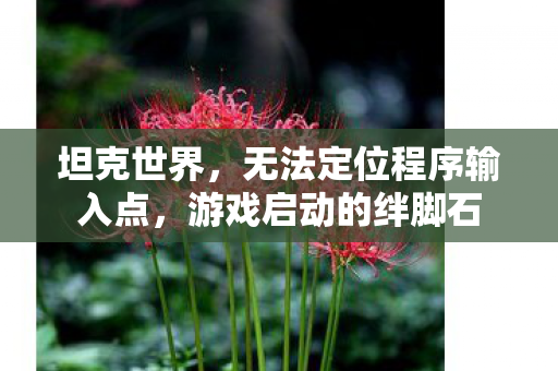 坦克世界，无法定位程序输入点，游戏启动的绊脚石
