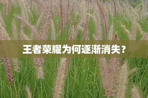 王者荣耀为何逐渐消失？