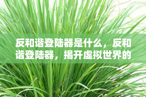 反和谐登陆器是什么，反和谐登陆器，揭开虚拟世界的神秘面纱