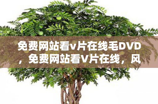 免费网站看v片在线毛DVD，免费网站看V片在线，风险与安全的警示