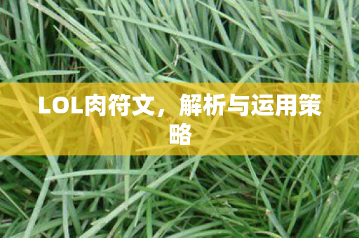 LOL肉符文，解析与运用策略