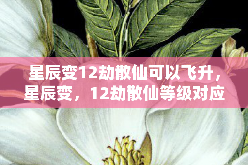 星辰变12劫散仙可以飞升，星辰变，12劫散仙等级对应详解