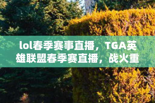 lol春季赛事直播,TGA英雄联盟春季赛直播,战火重燃,谁将问鼎? lol春季赛事直播,TGA英雄联盟春季赛直播,战火重燃,谁将问鼎?