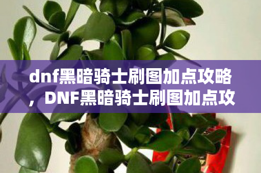 dnf黑暗骑士刷图加点攻略，DNF黑暗骑士刷图加点攻略