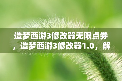 造梦西游3修改器无限点券,造梦西游3修改器1.0,解锁无限可能的冒险之旅 造梦西游3修改器无限点券,造梦西游3修改器1.0,解锁无限可能的冒险之旅