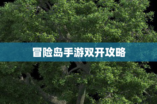 冒险岛手游双开攻略