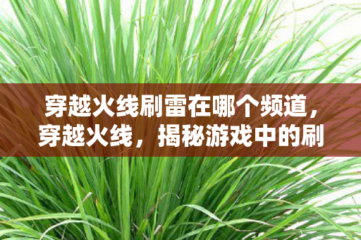 穿越火线刷雷在哪个频道，穿越火线，揭秘游戏中的刷雷现象