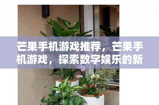 芒果手机游戏推荐，芒果手机游戏，探索数字娱乐的新边疆