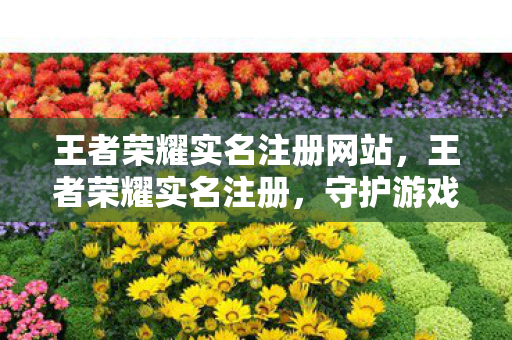 王者荣耀实名注册网站，王者荣耀实名注册，守护游戏精神，共筑健康网络生态