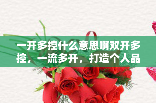 一开多控什么意思啊双开多控，一流多开，打造个人品牌的多元化策略
