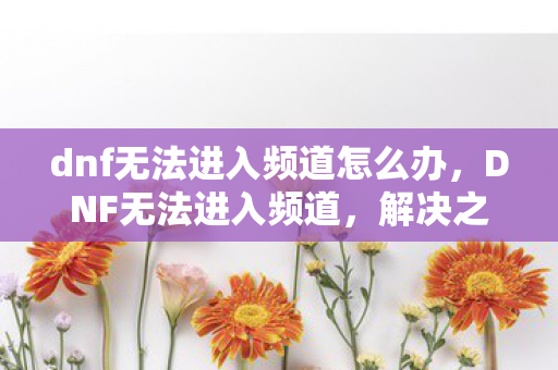 dnf无法进入频道怎么办，DNF无法进入频道，解决之道与原因分析