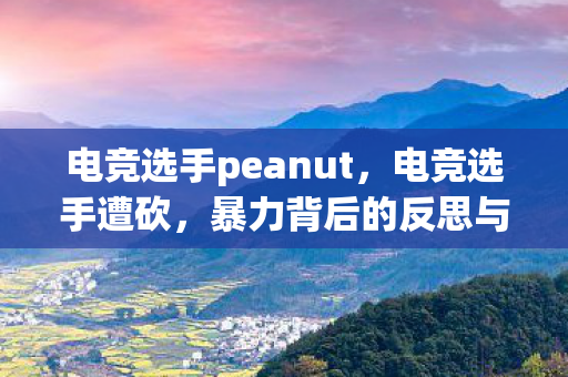 电竞选手peanut，电竞选手遭砍，暴力背后的反思与呼吁