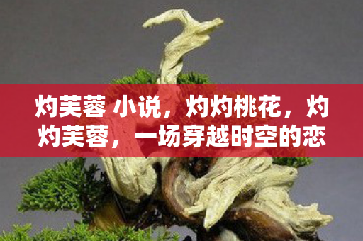 灼芙蓉 小说，灼灼桃花，灼灼芙蓉，一场穿越时空的恋曲