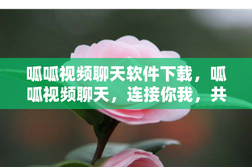 呱呱视频聊天软件下载，呱呱视频聊天，连接你我，共享欢乐时光