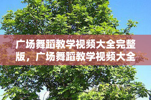 广场舞蹈教学视频大全完整版，广场舞蹈教学视频大全，舞动生活的艺术