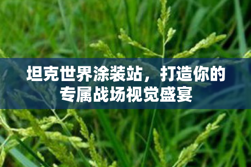 坦克世界涂装站，打造你的专属战场视觉盛宴