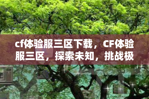 cf体验服三区下载，CF体验服三区，探索未知，挑战极限