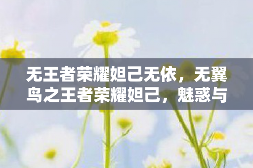 无王者荣耀妲己无依，无翼鸟之王者荣耀妲己，魅惑与智慧的双重奏章