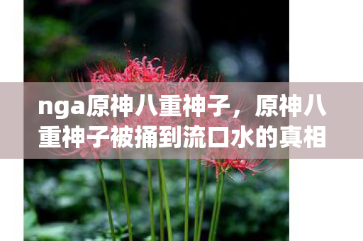 nga原神八重神子，原神八重神子被捅到流口水的真相揭秘