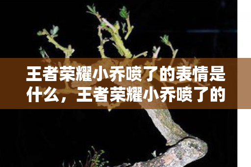 王者荣耀小乔喷了的表情是什么，王者荣耀小乔喷了的表情，游戏中的趣味瞬间与情感表达