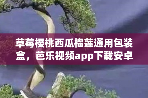 草莓樱桃西瓜榴莲通用包装盒，芭乐视频app下载安卓下载，安全、便捷、高效的视频娱乐新选择
