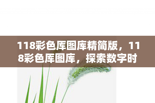 118彩色厍图库精简版,118彩色厍图库,探索数字时代的视觉盛宴 118彩色厍图库精简版,118彩色厍图库,探索数字时代的视觉盛宴