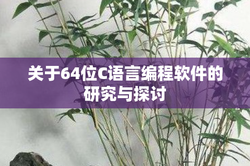 关于64位C语言编程软件的研究与探讨