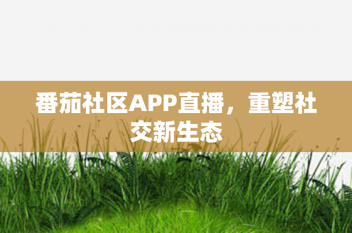 番茄社区APP直播,重塑社交新生态 番茄社区APP直播,重塑社交新生态