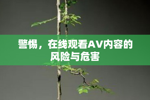 警惕,在线观看AV内容的风险与危害 警惕,在线观看AV内容的风险与危害