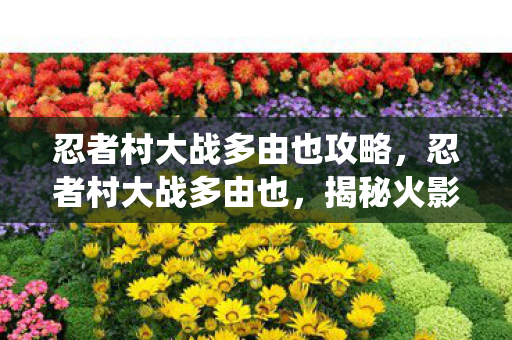 忍者村大战多由也攻略，忍者村大战多由也，揭秘火影忍者中的经典战役