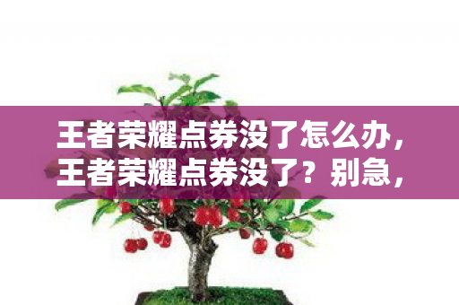 王者荣耀点券没了怎么办，王者荣耀点券没了？别急，这里有解决办法！