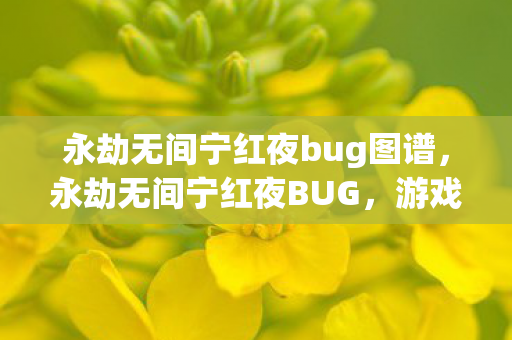永劫无间宁红夜bug图谱，永劫无间宁红夜BUG，游戏平衡与玩家体验的挑战