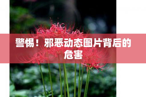 警惕！邪恶动态图片背后的危害