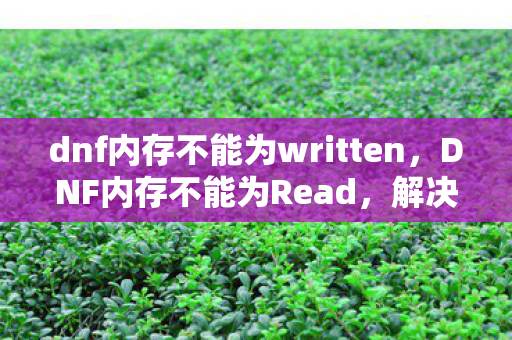 dnf内存不能为written，DNF内存不能为Read，解决游戏常见问题的实用指南