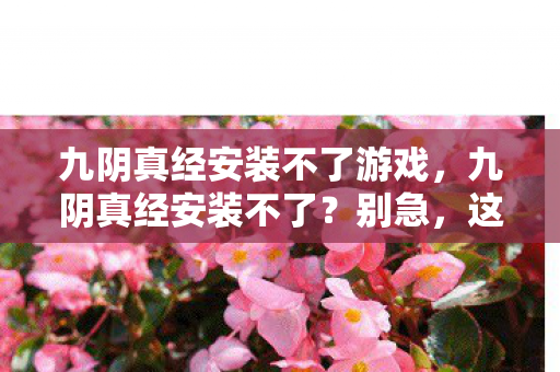 九阴真经安装不了游戏，九阴真经安装不了？别急，这里有解决办法！