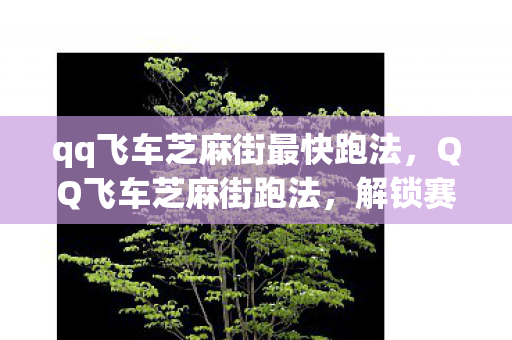 qq飞车芝麻街最快跑法，QQ飞车芝麻街跑法，解锁赛道新速度
