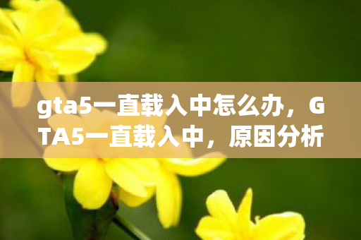 gta5一直载入中怎么办，GTA5一直载入中，原因分析与解决方案