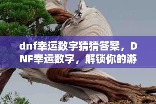 dnf幸运数字猜猜答案，DNF幸运数字，解锁你的游戏幸运密码