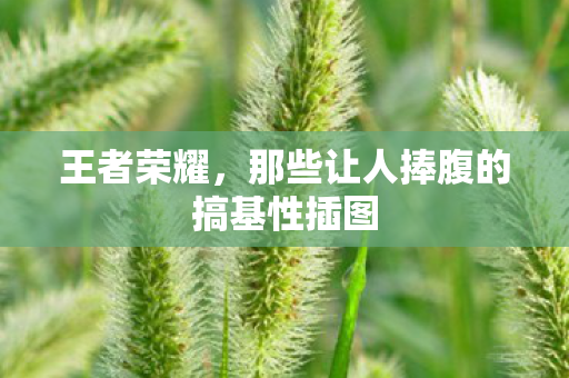 王者荣耀，那些让人捧腹的搞基性插图