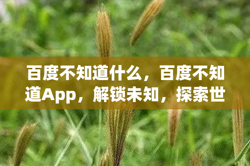 百度不知道什么，百度不知道App，解锁未知，探索世界的秘密
