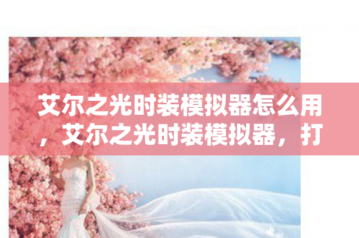 艾尔之光时装模拟器怎么用，艾尔之光时装模拟器，打造你的专属时尚王国