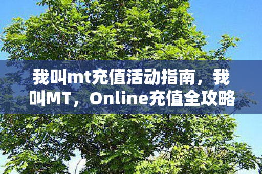 我叫mt充值活动指南，我叫MT，Online充值全攻略，助你畅游奇幻世界