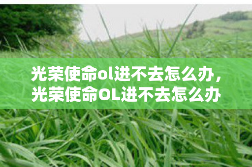 光荣使命ol进不去怎么办，光荣使命OL进不去怎么办？