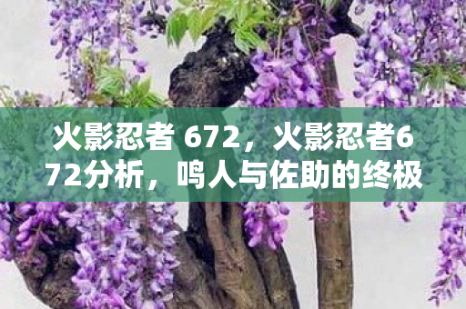 火影忍者 672，火影忍者672分析，鸣人与佐助的终极对决