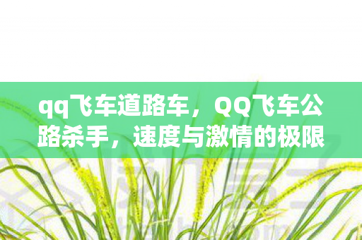 qq飞车道路车，QQ飞车公路杀手，速度与激情的极限挑战