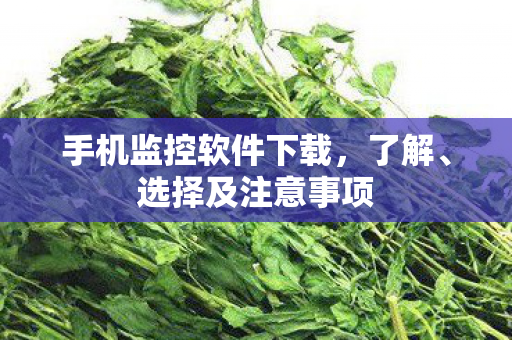 手机监控软件下载，了解、选择及注意事项